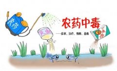 農(nóng)藥殘留速測儀助力“有機(jī)農(nóng)業(yè)”發(fā)展！