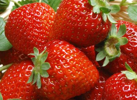 食品安全速測(cè)儀 食品安全速測(cè)儀