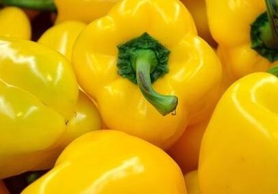 農(nóng)藥殘留檢測(cè)儀 農(nóng)藥殘留檢測(cè)儀